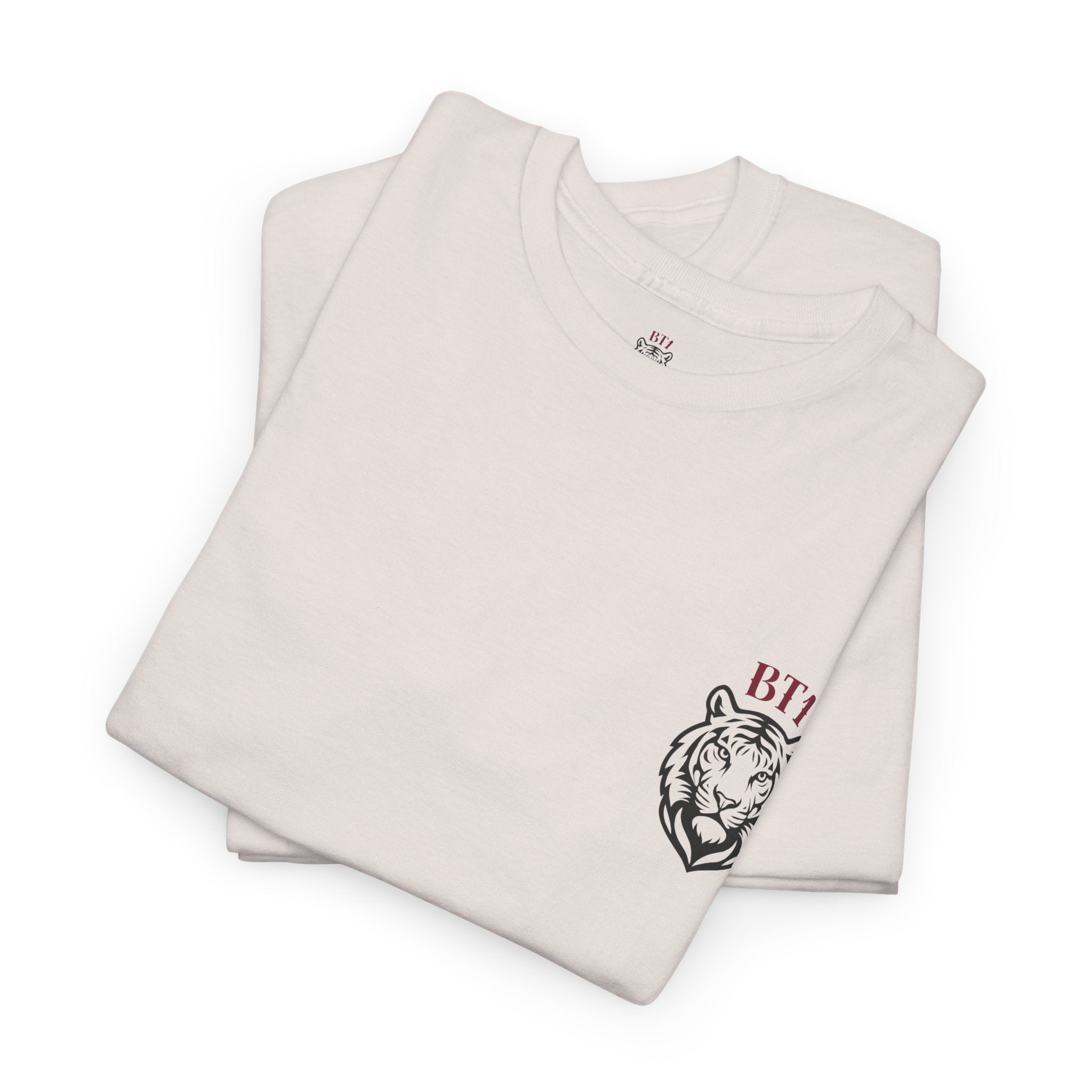 Empowerment Heavy Cotton T-Shirt - BT1